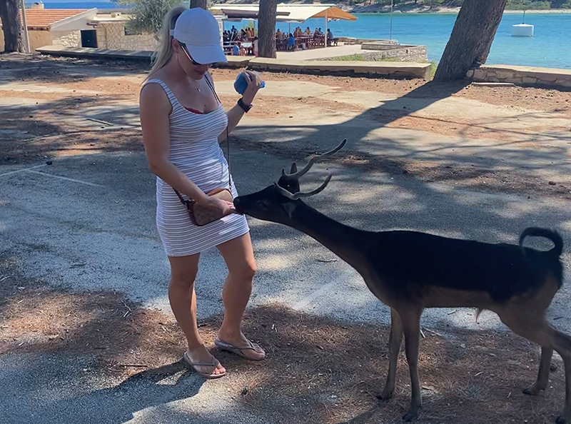 Korcula sailing boat